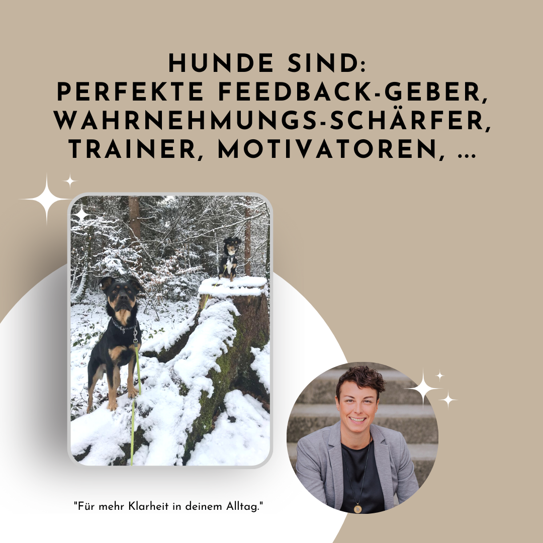 Hunde spiegeln uns und sind perfekte Feedback-Geber – Tanja Gratzer, Salzburg