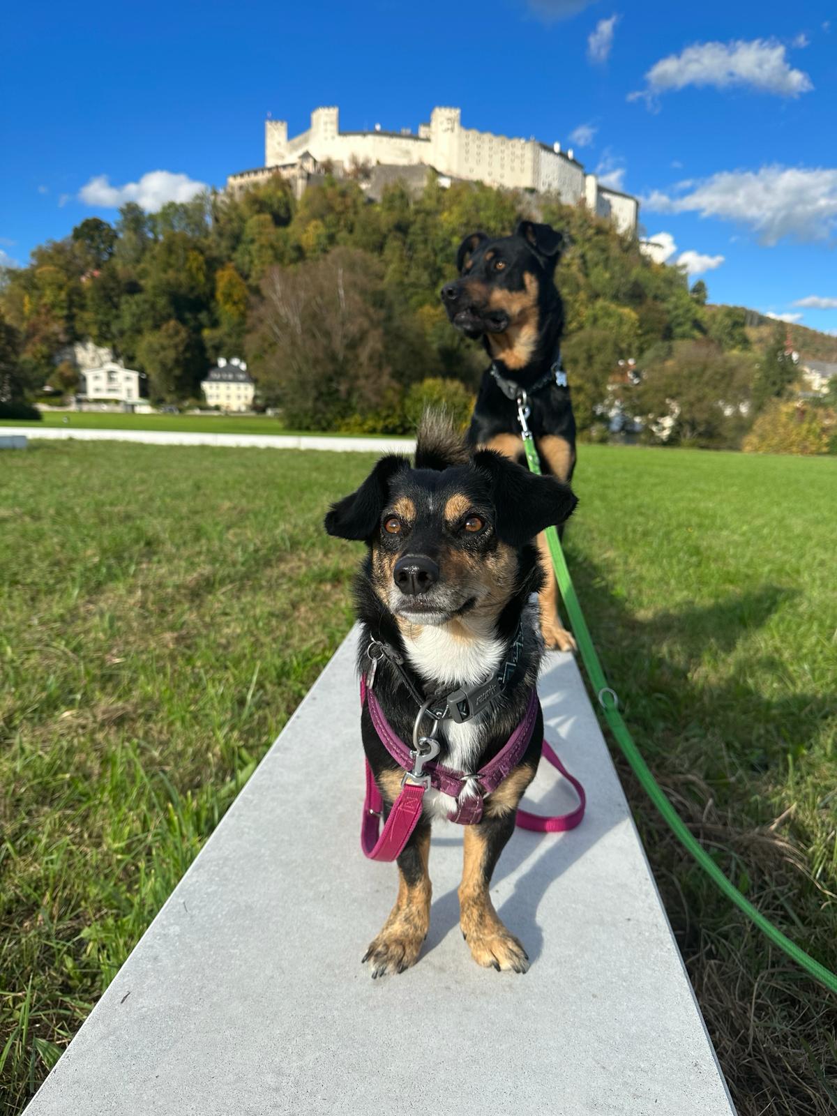 Charly und Lotte Salzburg