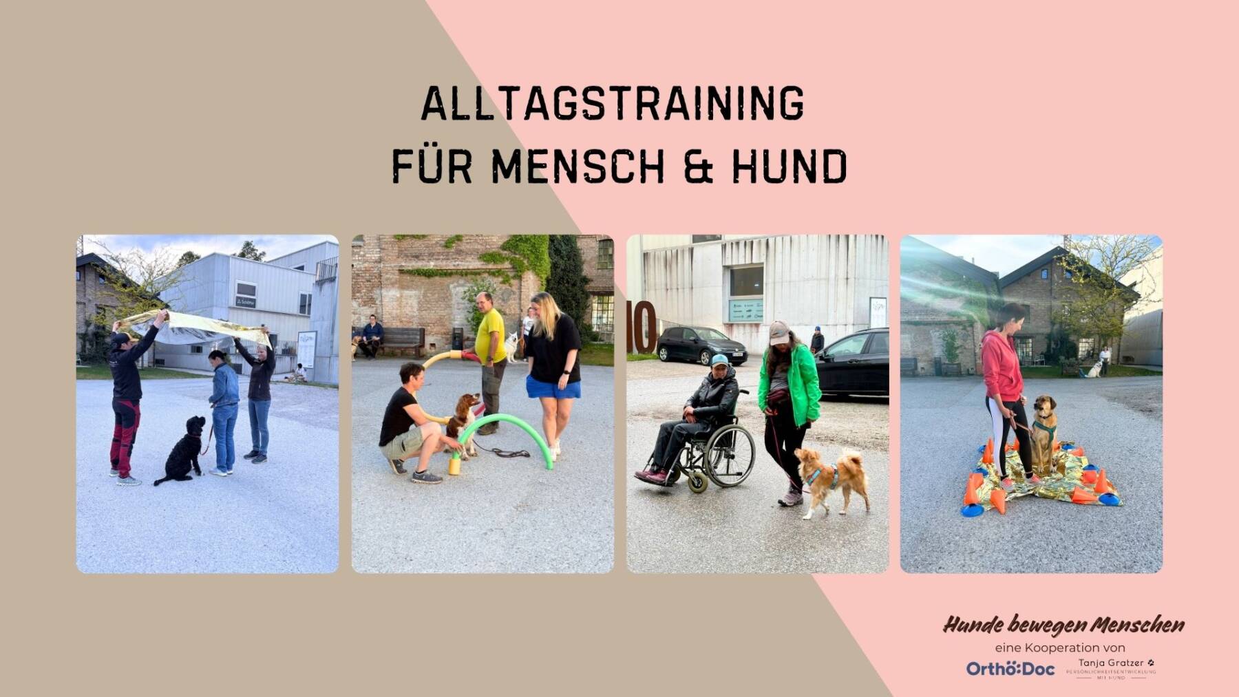 Alltagstraining – Hunde bewegen Menschen